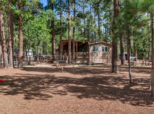 1659 Mormon Rd, Happy Jack, AZ 86024