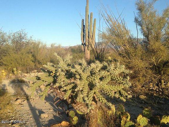 5th image of 1055 W Tortolita Mountain Cir