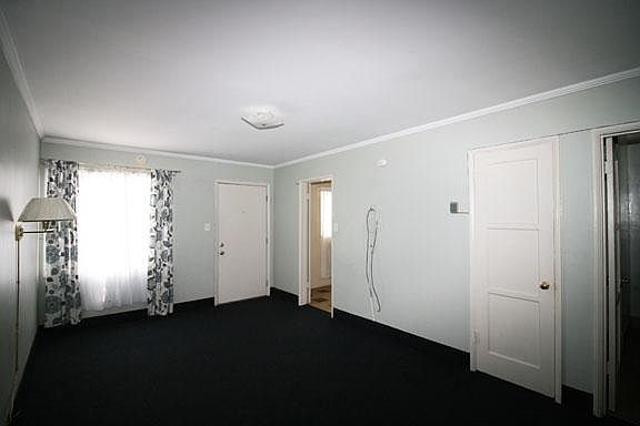 Living/Bedroom with new rug and freshly painted