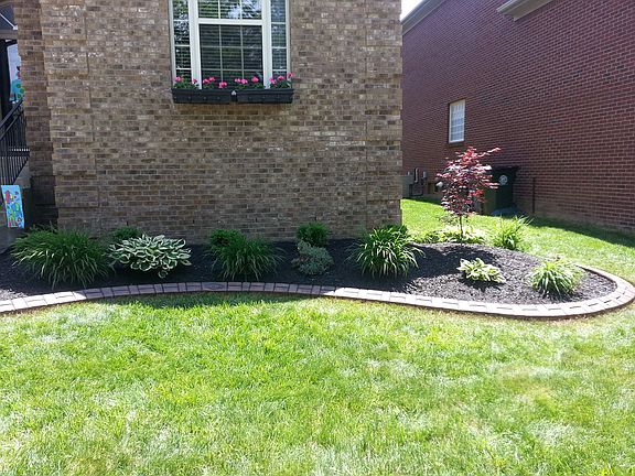 3rd image of 928 Belmere Dr