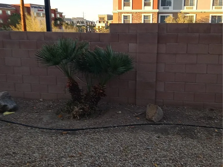 1432 Evening Song Ave — Photo 14
