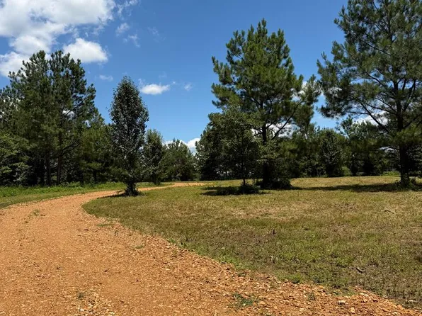 0 Cay Lawrence Rd, Buchanan, TN 38222