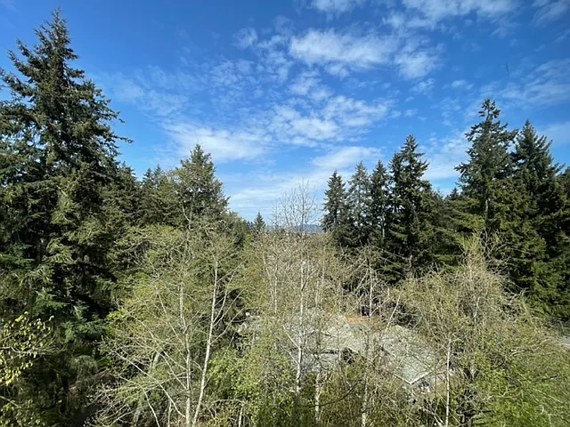 13543 SW Lauren Ln — Photo 29