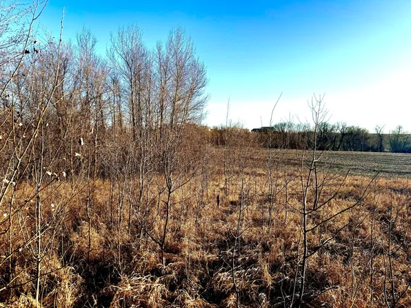 PARCEL 4 160th St, Clitherall, MN 56524