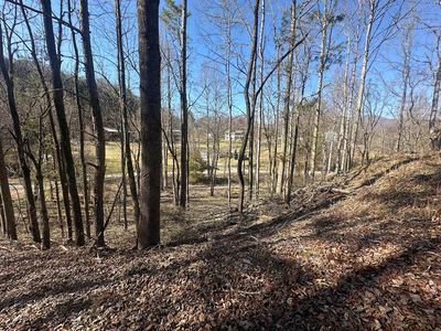 164 Pigeon Ln, Sylva, NC, 28779