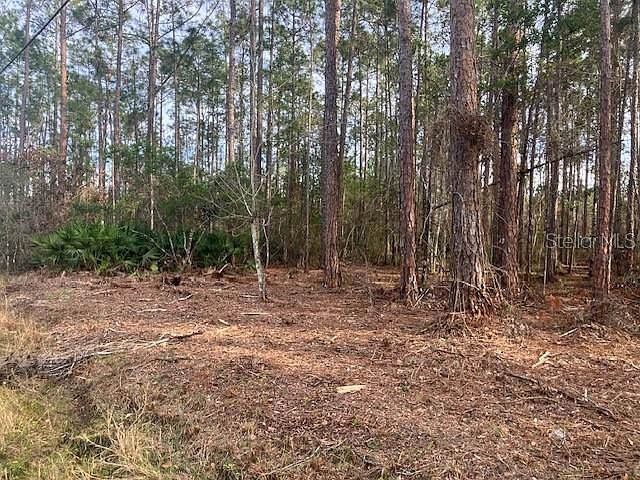 1st image of 4515 MAHOGANY BOULEVARD LOT 3