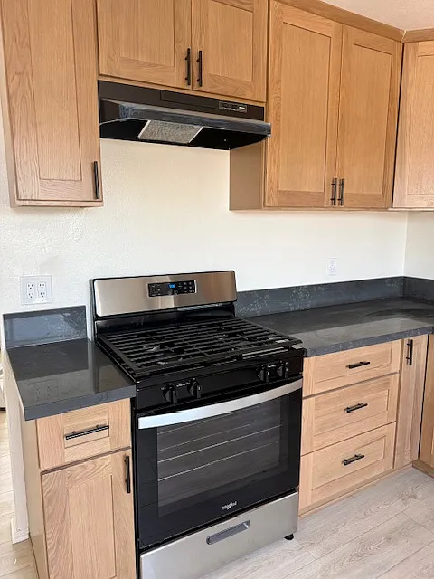 2 bed, 750 sqft, $2,600 — Photo 2