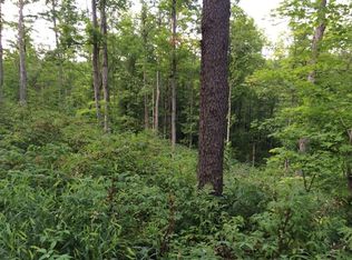 0 Hiltonville Rd, Arkport, NY 14807