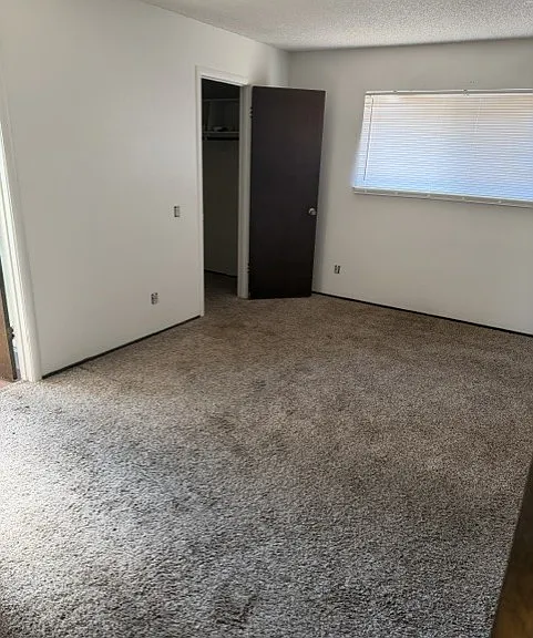 2412 Berrywood Dr #2412 — Photo 6