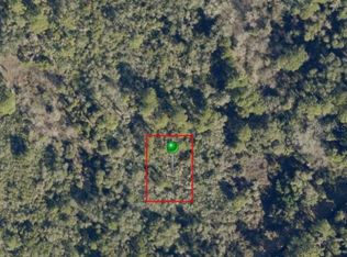 Vac No St, Oak Hill, FL 32759