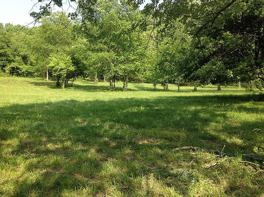 2nd image of 1998 Carroll Creek Rd