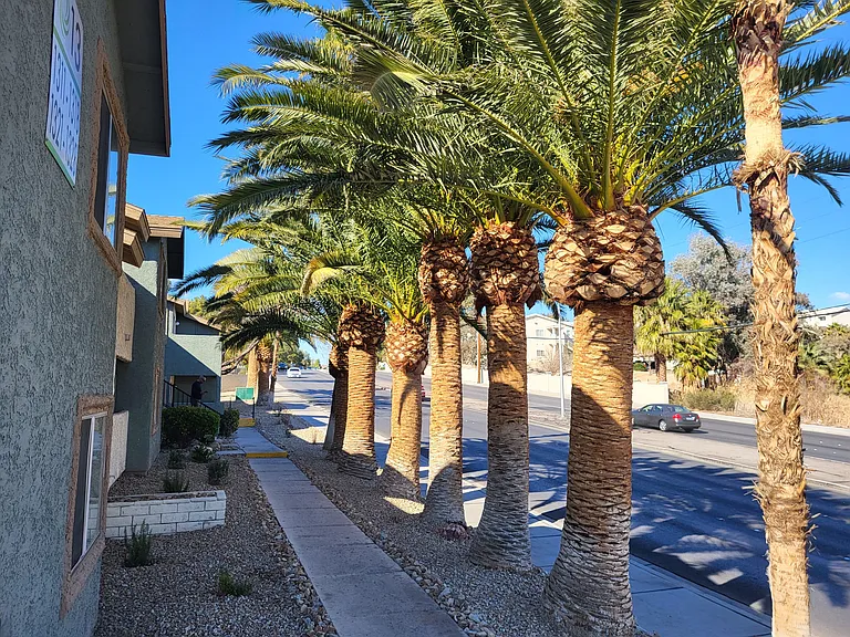 Sunset Winds Apartments — Photo 4