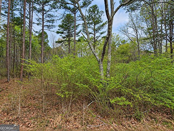 3rd image of Maddox Lake Rd