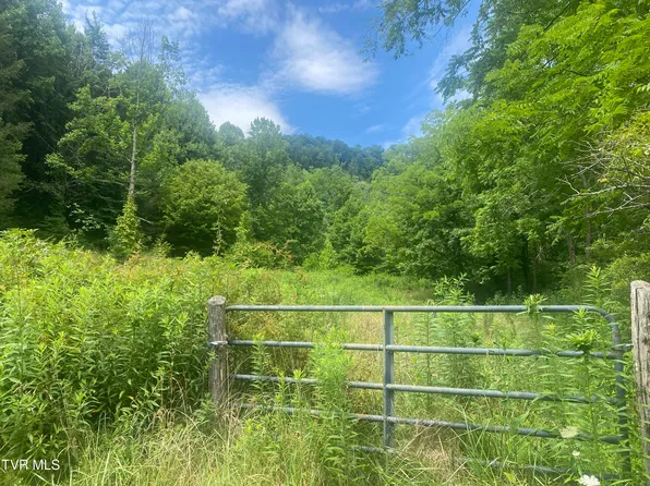 638 Old Highway 143, Roan Mountain, TN 37687