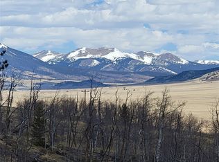 2270 Redhill Rd, Fairplay, CO 80440