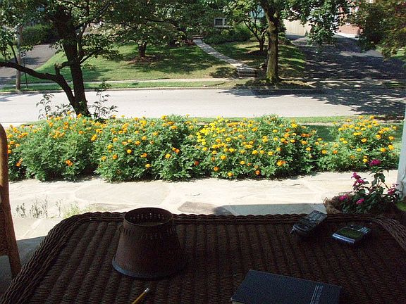 View from front porch