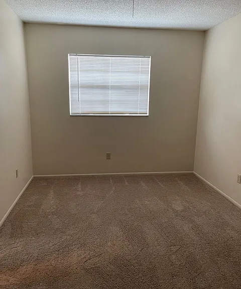 7503 Bazsuly Ct — Photo 6