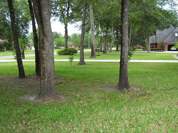 3rd image of 4202 Live Oak Ln