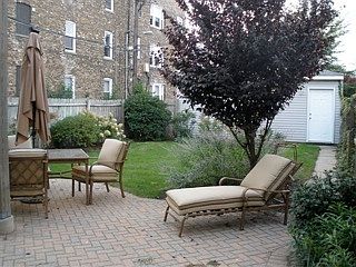 back yard