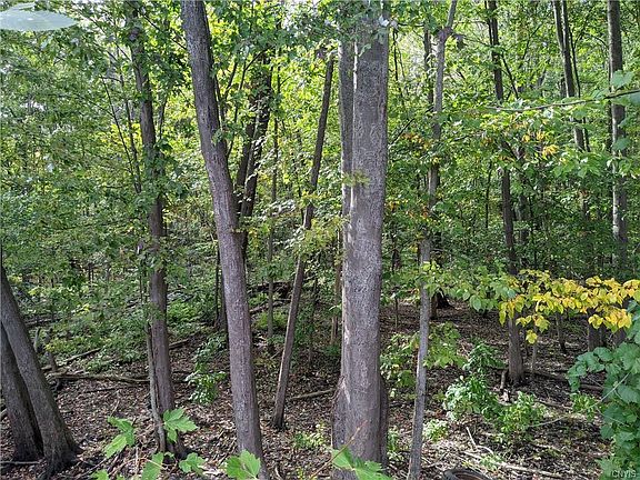 5th image of 101 Smokey Hollow Rd