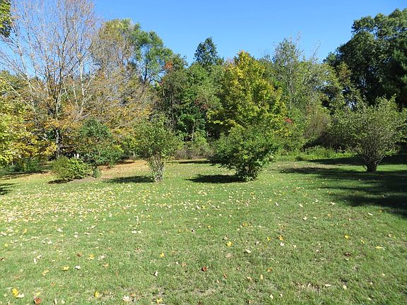 Looking out to the back yard