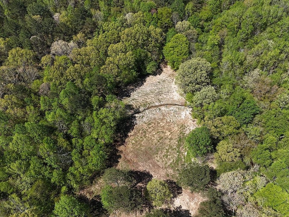 Dji 20240325034854 0040 D