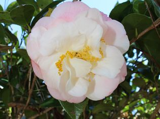 3862 Dunwoody Dr, Pensacola, FL 32503