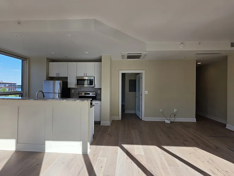 252 N Christopher Columbus Blvd #303 — Photo 6