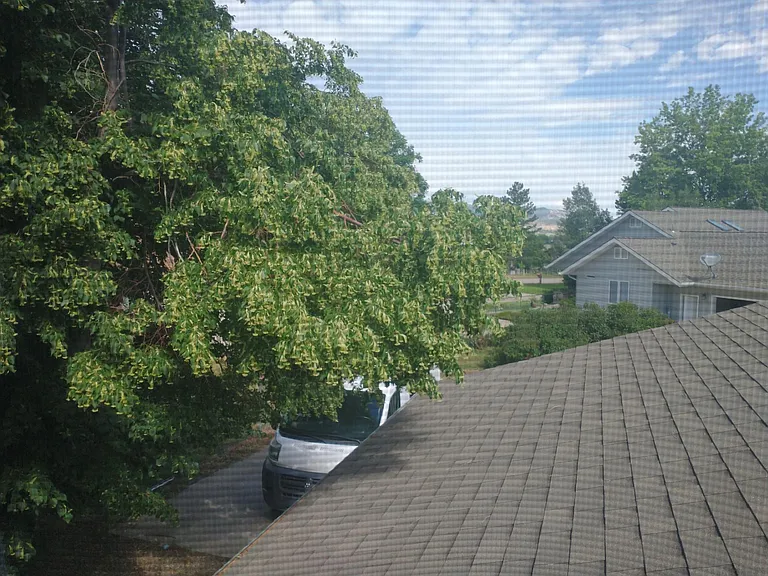 6520 Fossil Crest Dr — Photo 2