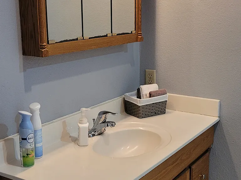 Vanity side of bathroom - Toilet is not in photo but is next to vanity on this side of bathroom