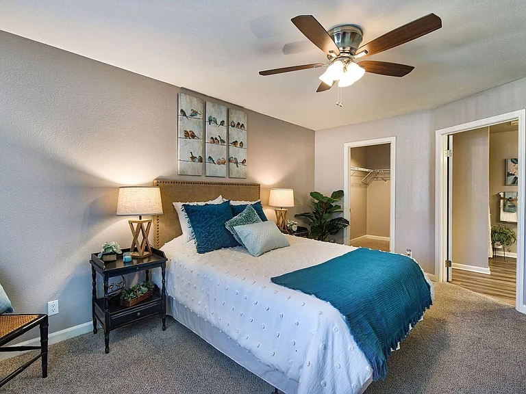 Primary Bedroom + Closet