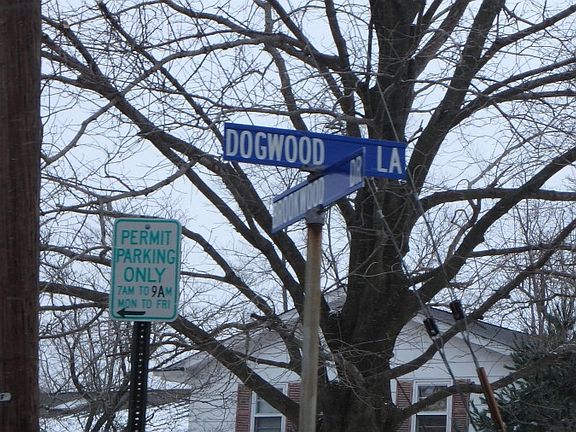 5th image of 26 Dogwood Ln