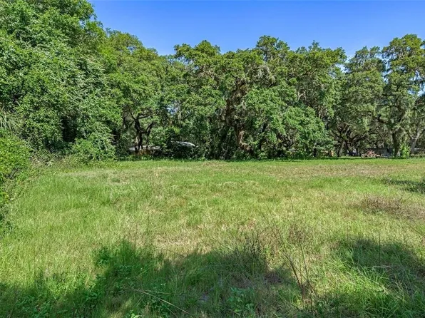 3352 Sandy Dr, Zephyrhills, FL 33541