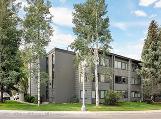 725 E Main St #205, Aspen, CO 81611