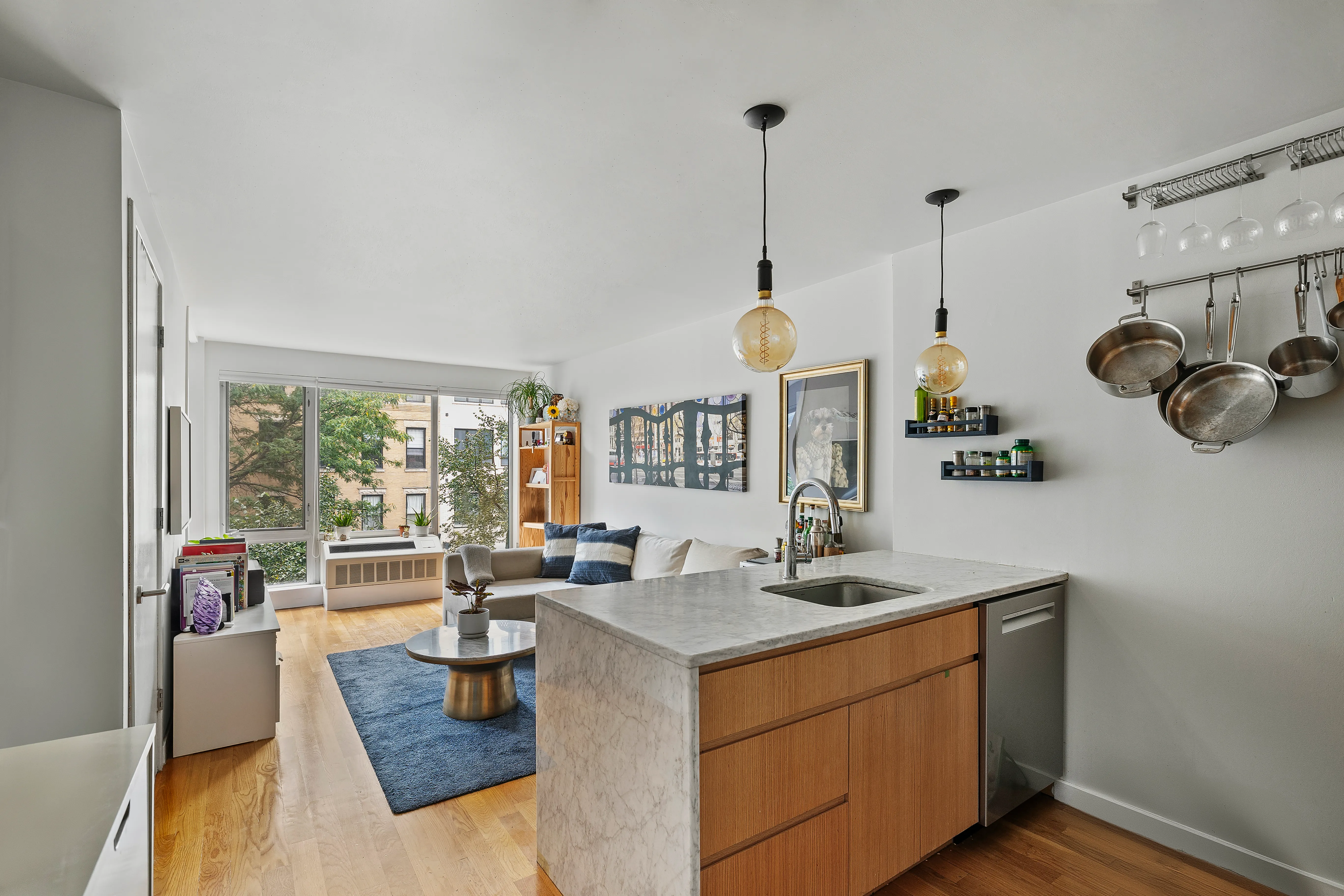 823 Classon Avenue #3D in Crown Heights, Brooklyn | StreetEasy