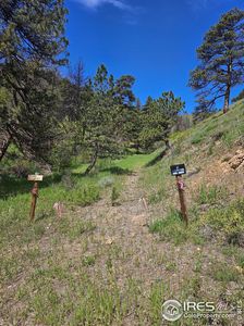 0 TBD County Road 69, Bellvue, CO, 80512