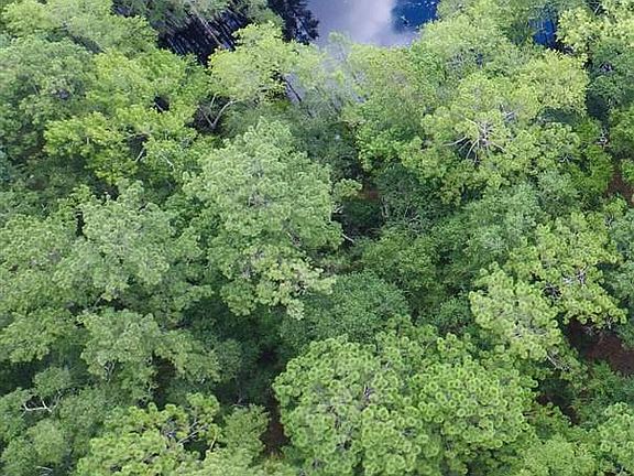 3rd image of Lot 3 Hidden Lakes Dr #0