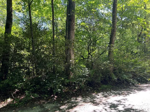 Lot 135 Meadowlark Lane, Sapphire, NC 28774