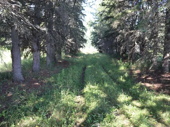 53209 Range Road 93, Yellowhead County, AB T0E 2M0