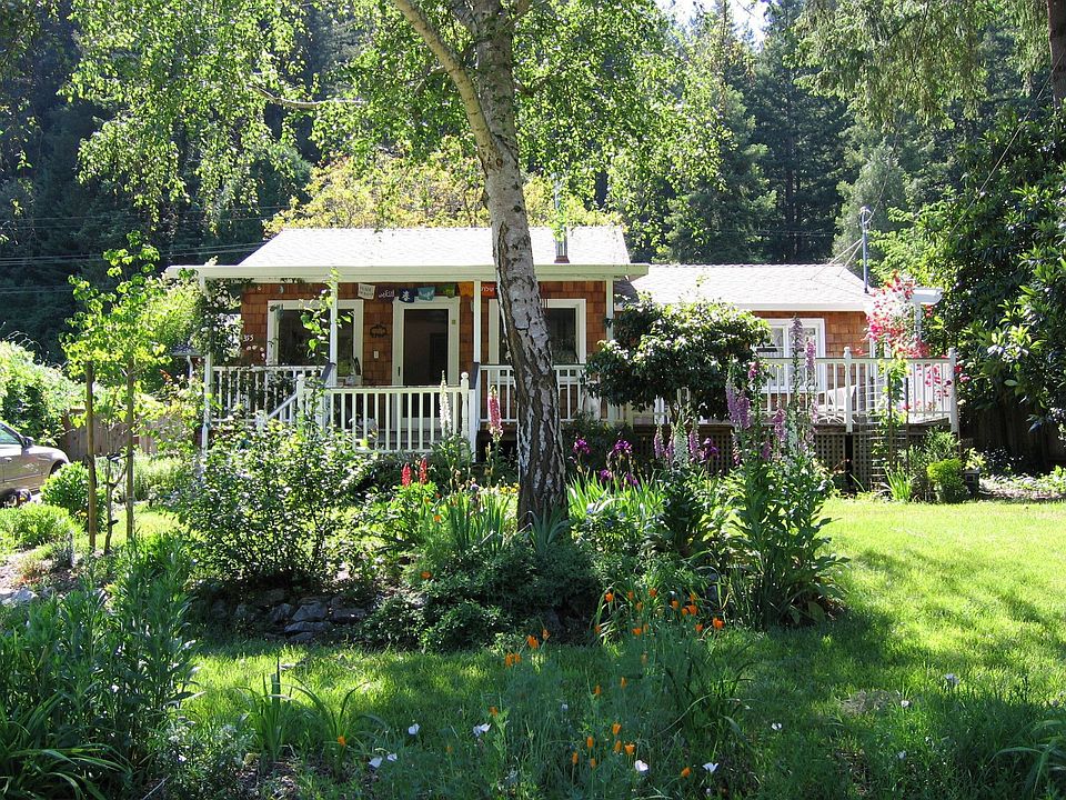 The front garden