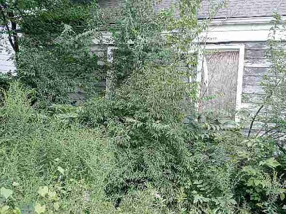 9233 Pierson