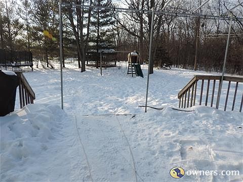 Backyard Views Woods