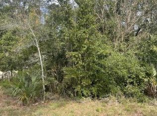 165 Falcon Fire Pl, Bunnell, FL 32110