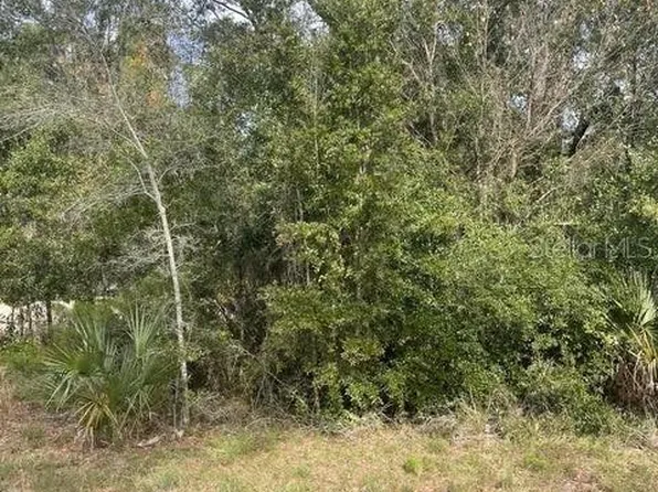 165 FALCON FIRE PLACE, BUNNELL, FL 32110