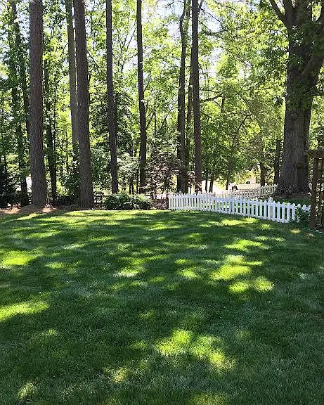 1004 Woodrose Ln — Photo 3