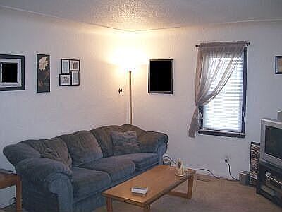 Plaster wall & Coved ceiling in Livingroom*