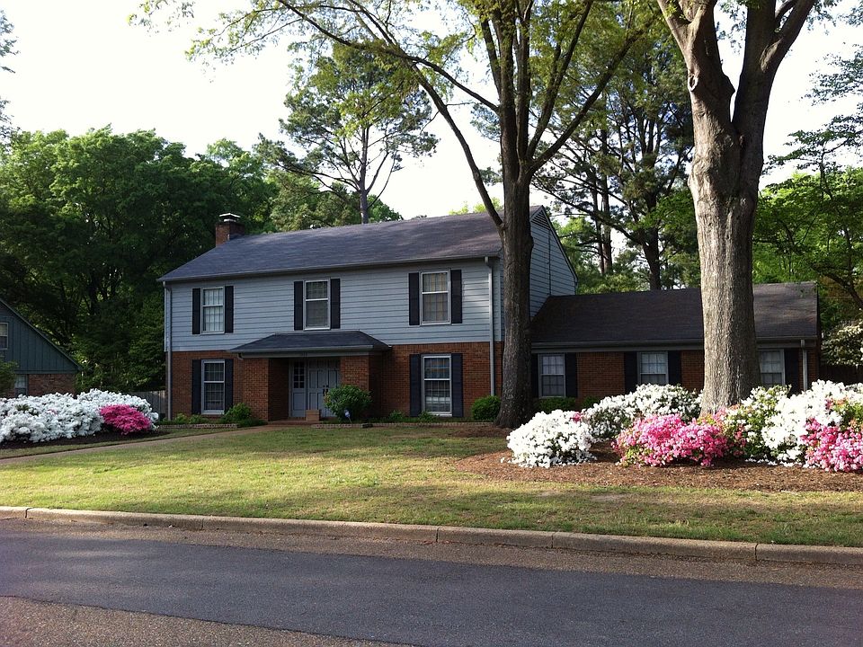 Beautiful azaleas in the spring