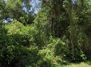 SE 144th Ln LOT 1983-S, Summerfield, FL 34491