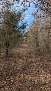 124 High Way, Atkins, AR, 72823