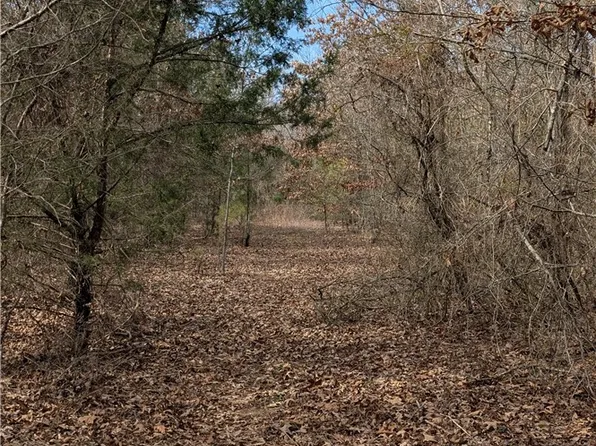 124 High Way, Atkins, AR 72823